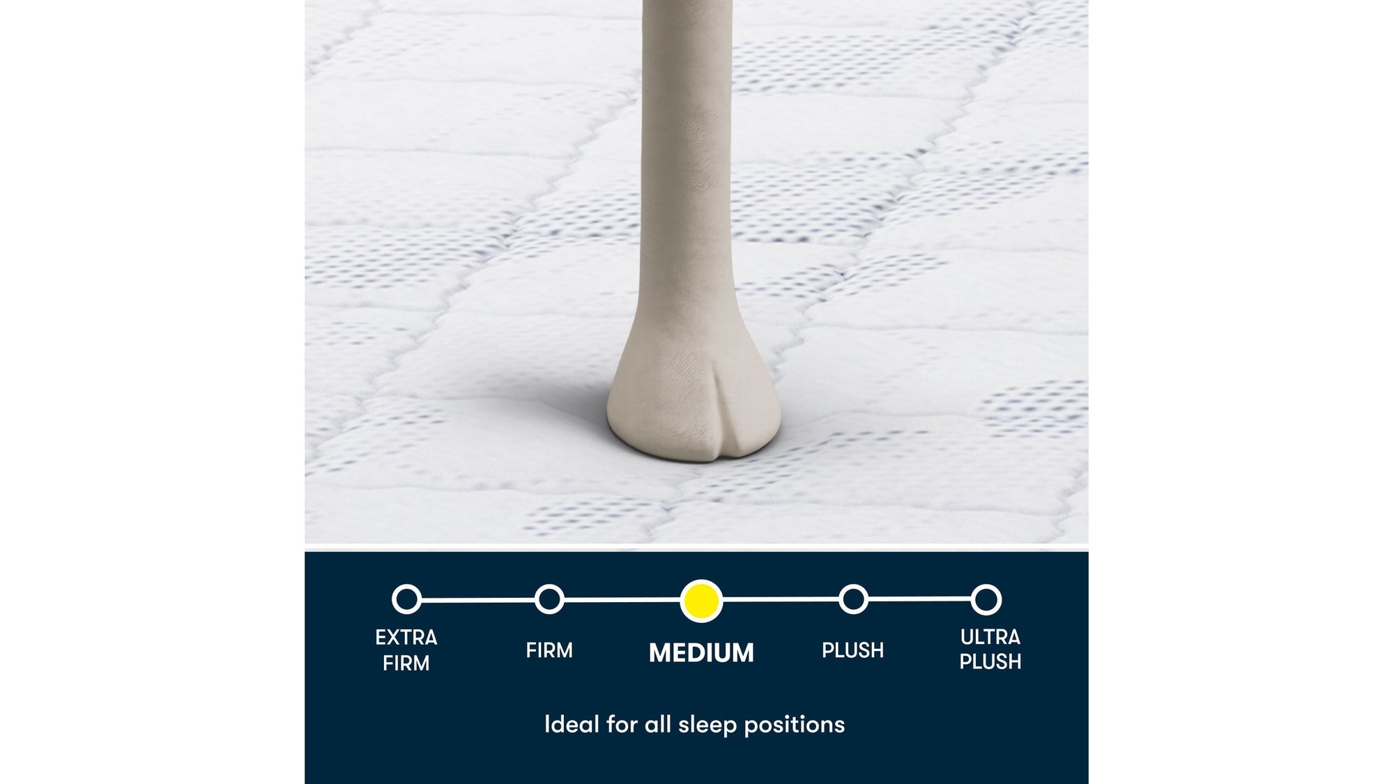 Perfect Day - 10" Serta Medium Mattress in a Box