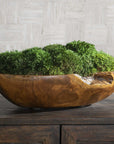 Kinsale - Moss Centerpiece - Light Brown
