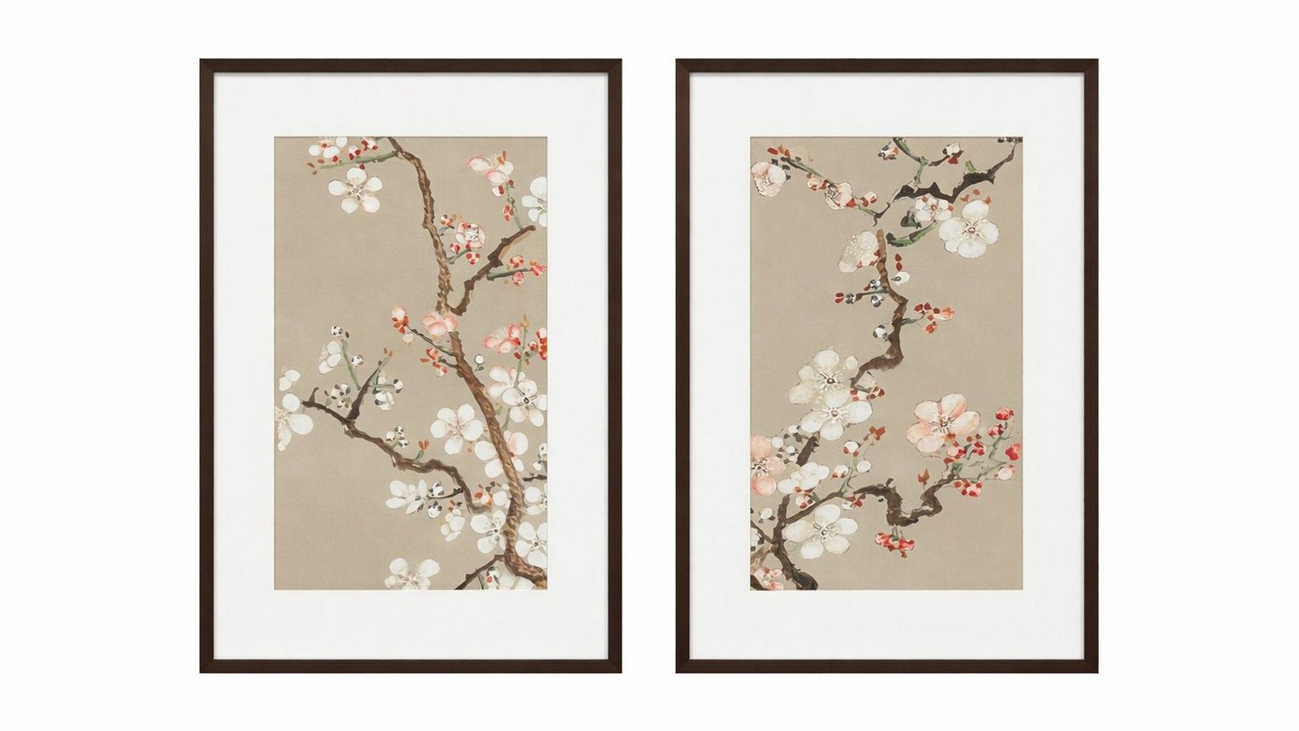 Pear Tree Framed Print Set of 2 - Cream