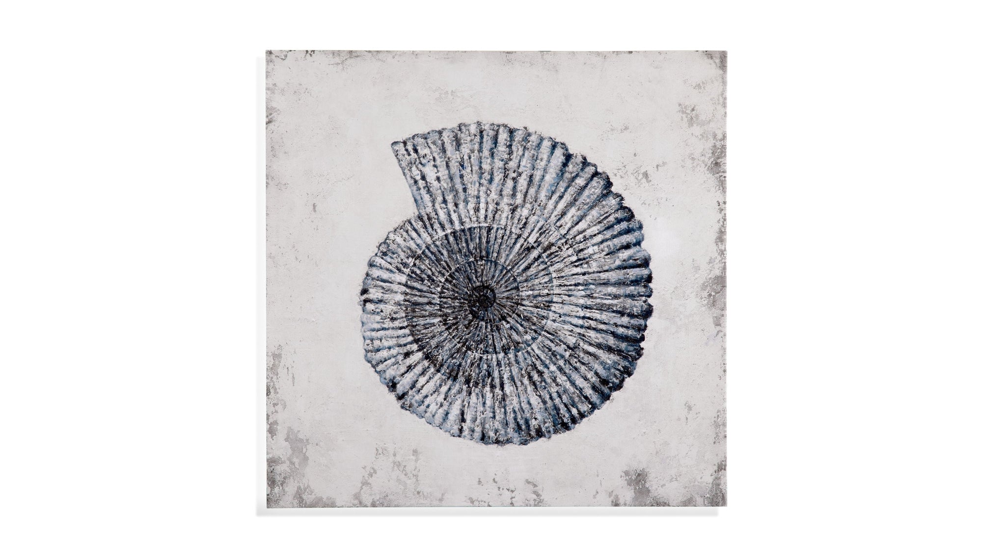 Shell II Canvas Art - Blue / Gray