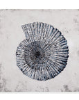 Shell II Canvas Art - Blue / Gray