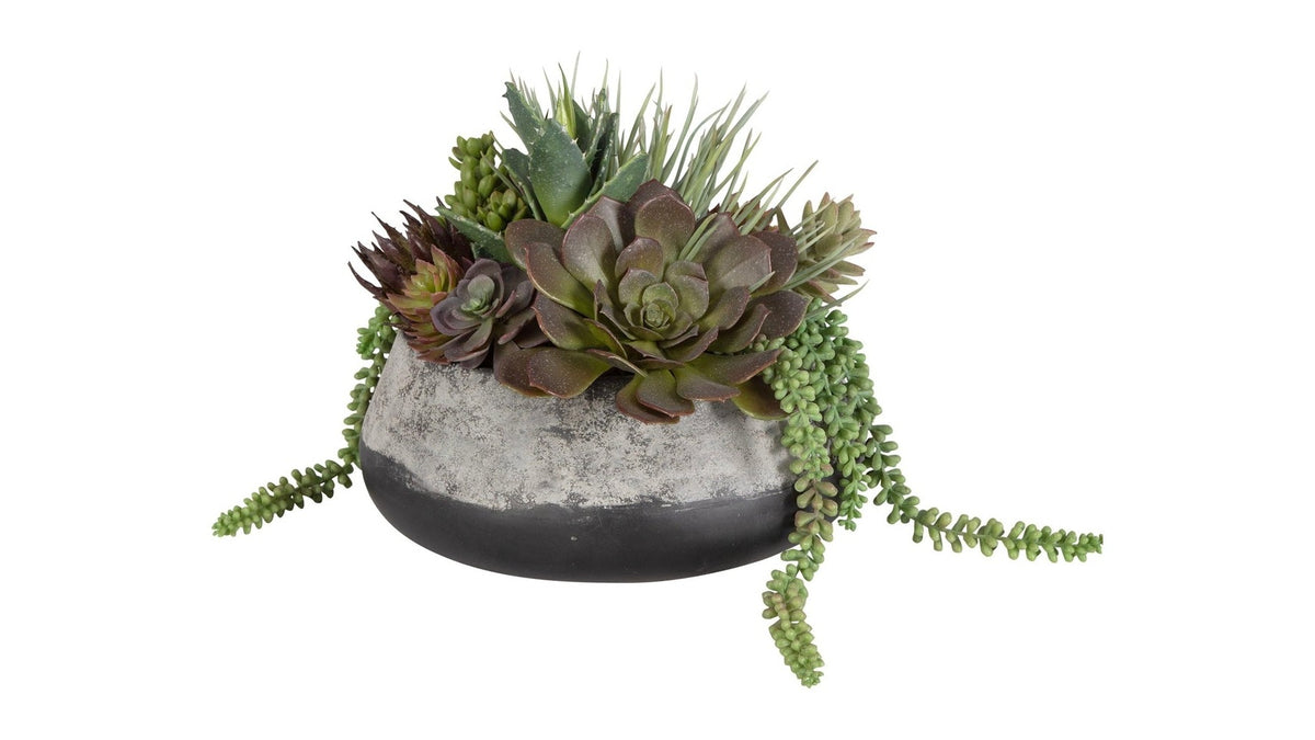 Yuma - Succulent Centerpiece - Gray