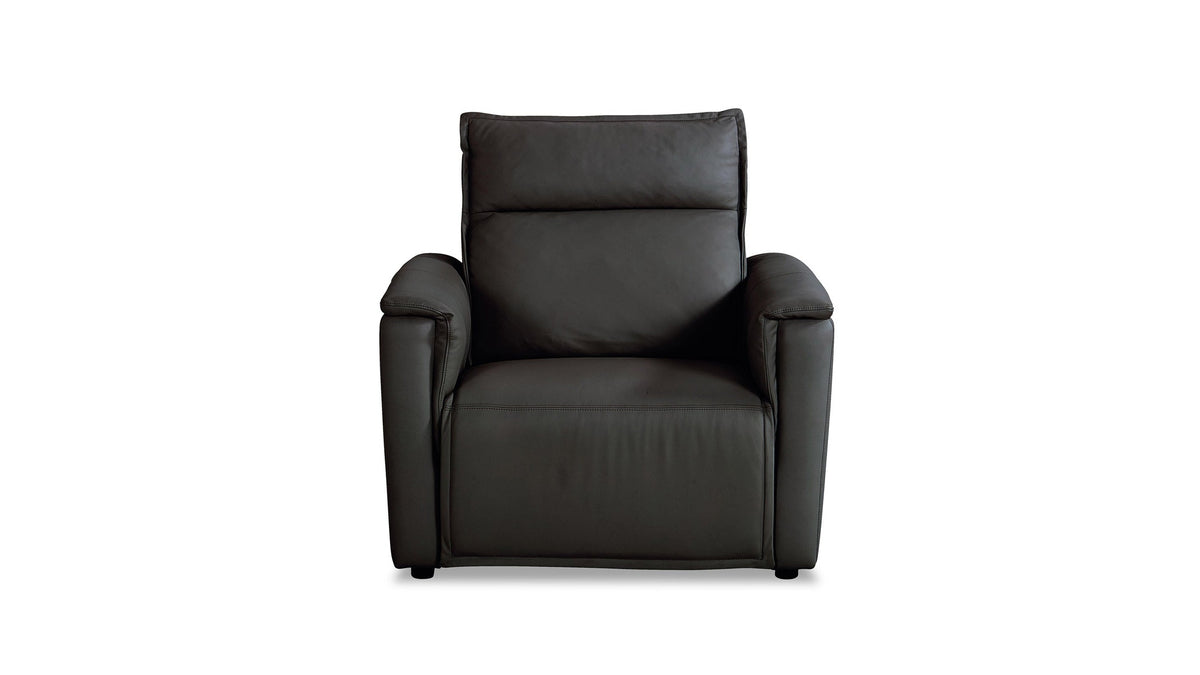 Chauncey Leather Zero Gravity Power Recliner