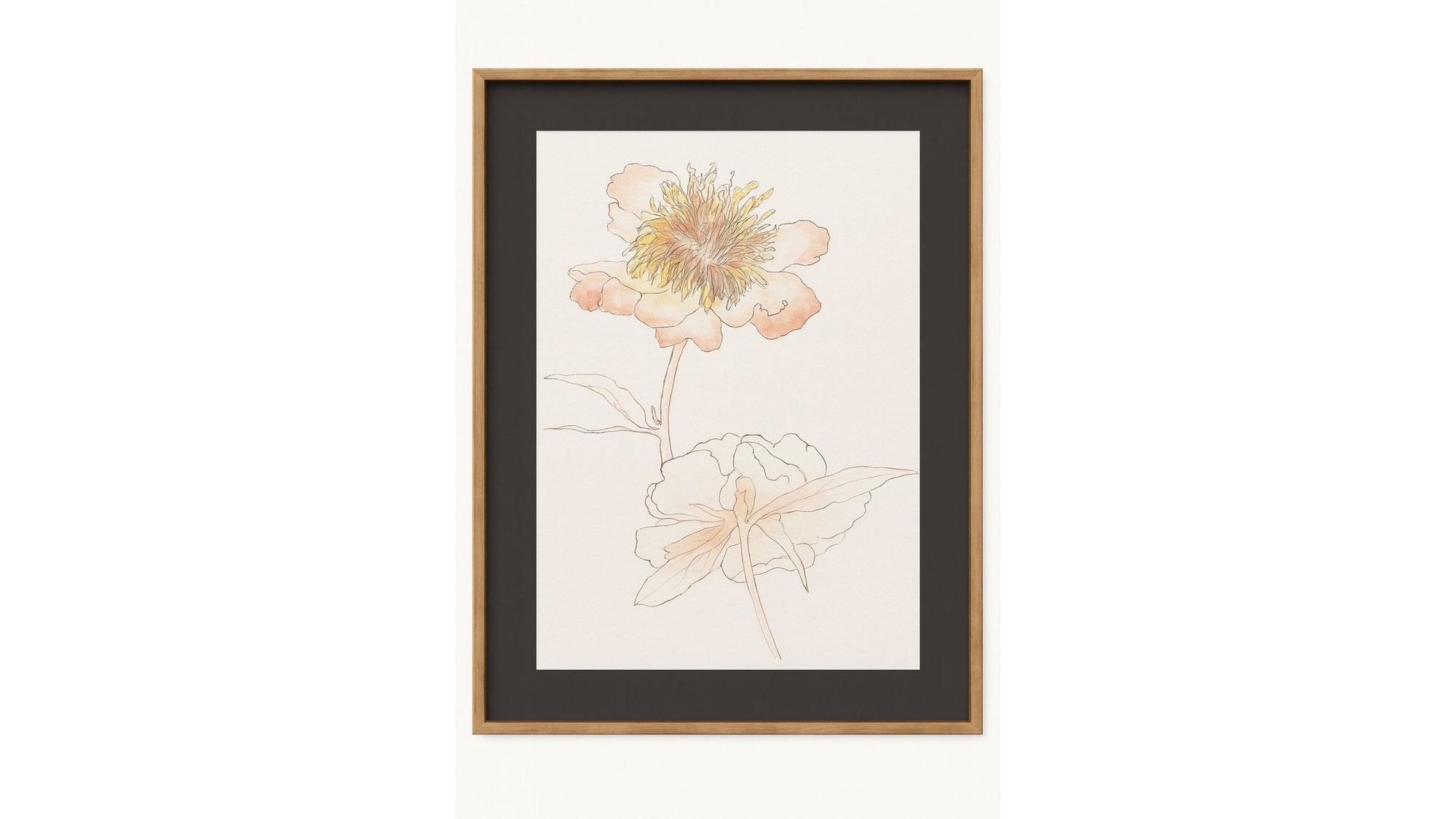 Sketchbook Blooms Delicate Framed Print - Peach / Black / Brown