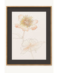 Sketchbook Blooms Delicate Framed Print - Peach / Black / Brown
