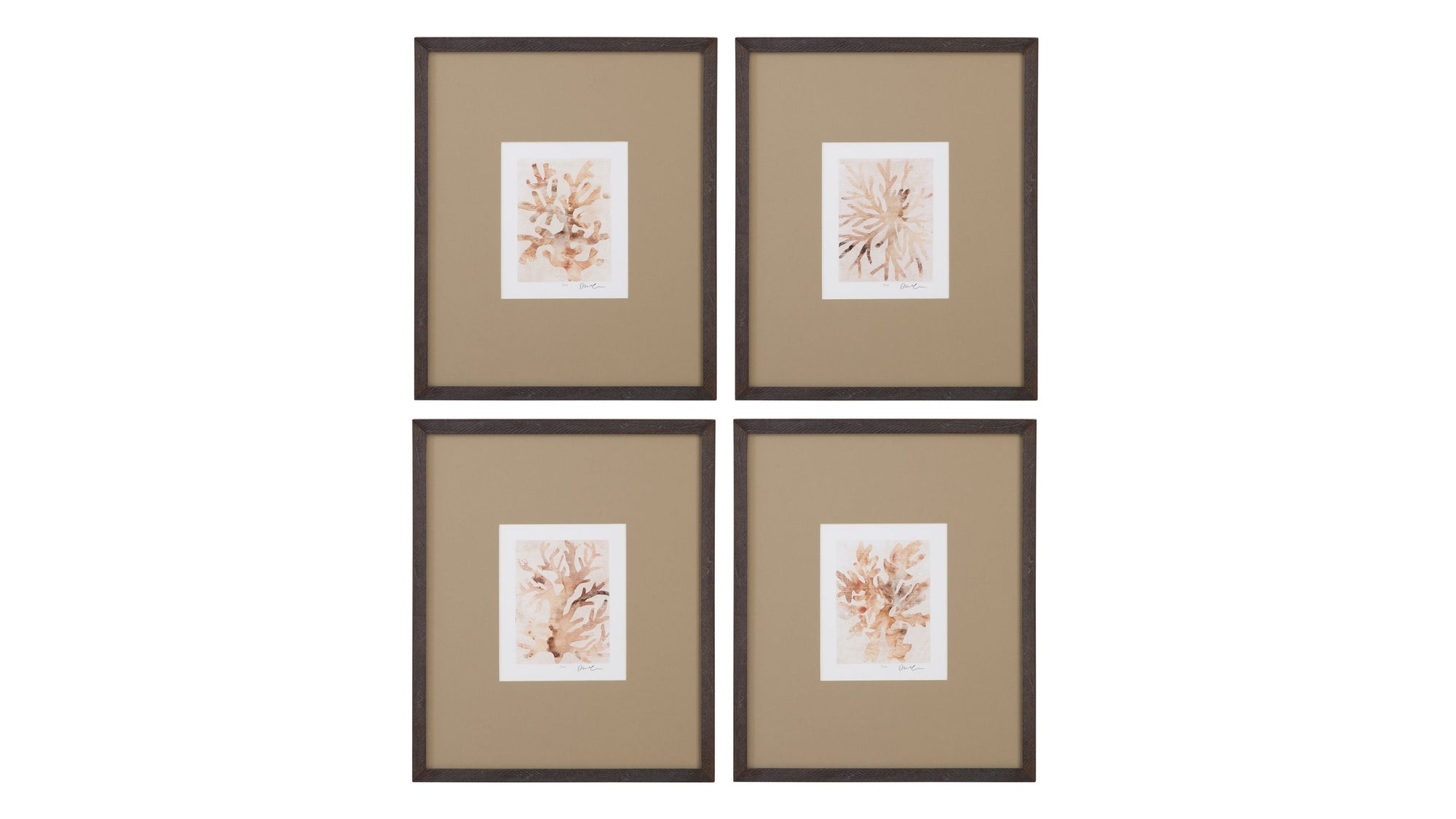 Parchment Coral I Framed Print - Brown