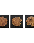 Kolini - Teak Wood Wall Decor (Set of 3)