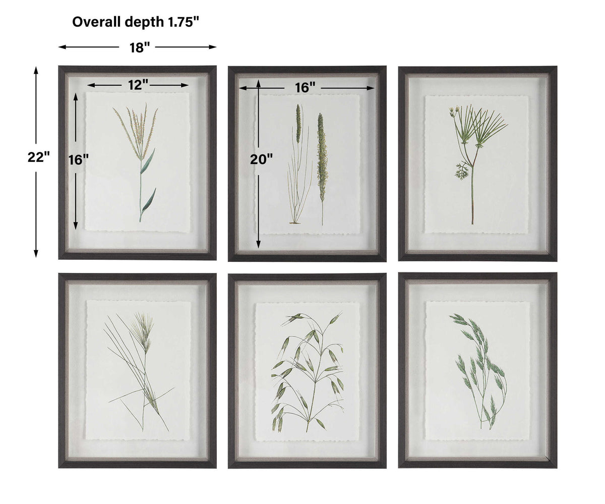 Forest - Finds Framed Prints (Set of 6)