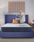 Perfect Day - 12" Serta Firm Mattress in a Box