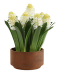 Sincerity - Potted Hyacinth Plant - Green