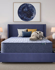 Five Star Mattress - Sleep to Go 14" Firm Mattress in a Box
