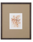 Parchment Coral IV Framed Print - Brown