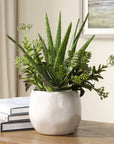 Sundown Succulent - Accent Planter - Green / White