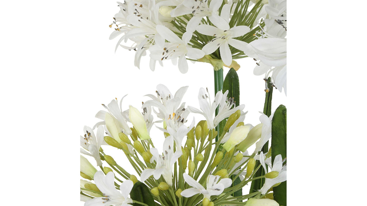 Purity Agapanthus - Centerpiece