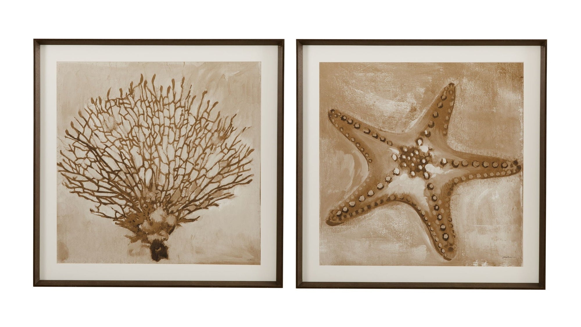Neutral Seafan & Starfish Framed Print Set of 2 - Light Brown