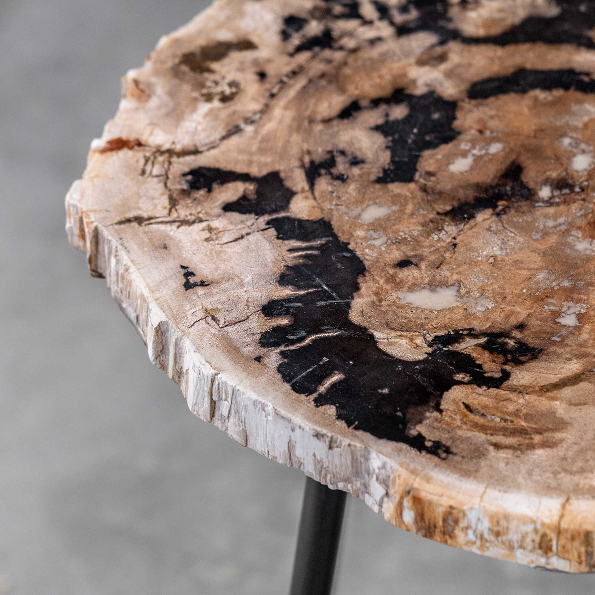 Mircea - Petrified Wood Accent Table - Black &amp; Light Brown
