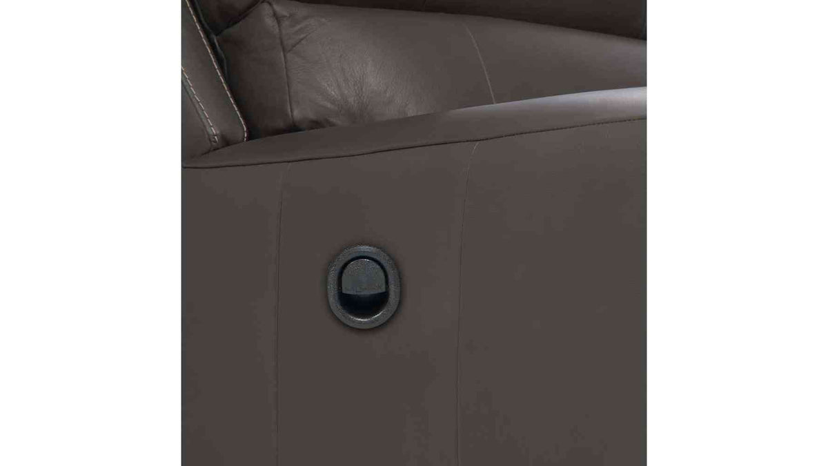 Apollo Reclining Loveseat