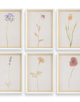 Wild Flourish - Framed Floral Prints (Set of 6) - Light Brown