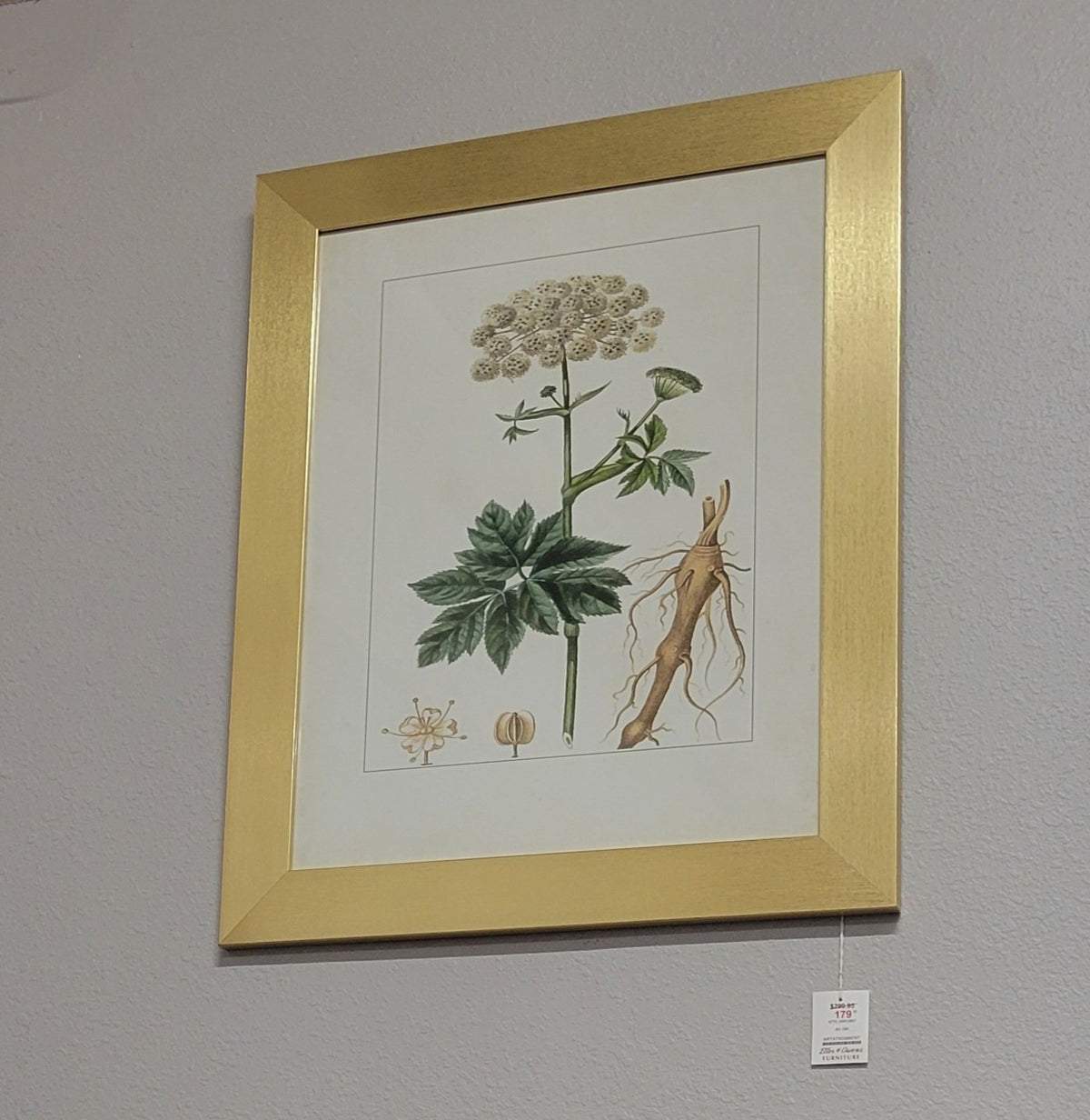 StyleCraft Botanical Framed Art Set of 2 – Closeout, Cleveland
