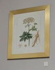 StyleCraft Botanical Framed Art Set of 2 – Closeout, Cleveland