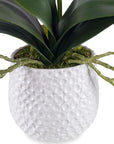 Cami - Orchid - White