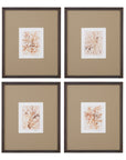 Parchment Coral Framed Print Set of 4 - Brown
