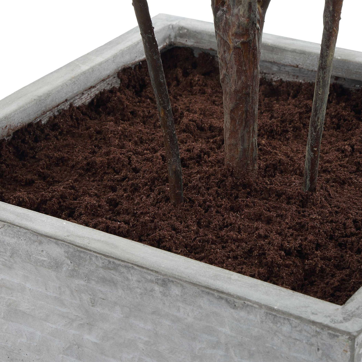 Sonora Olive - Tree In Planter - Gray / Green