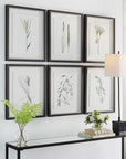 Forest - Finds Framed Prints (Set of 6)