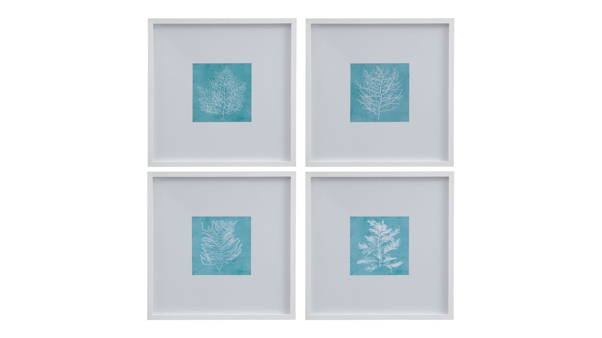 White Coral On Blue I Framed Print - Blue / White