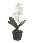 Laris - Orchid Drop-In - White