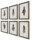 Birds Of A Feather - Framed Prints (Set of 6)