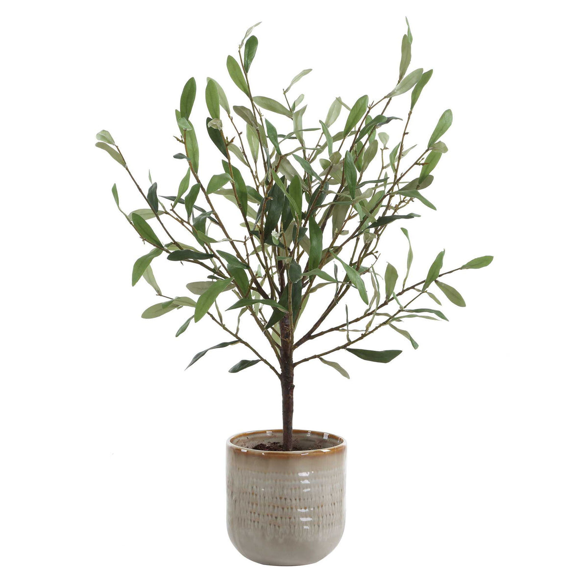 Solea Olive - Accent &amp; Textured Vase - Brown / Green