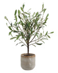 Solea Olive - Accent & Textured Vase - Brown / Green