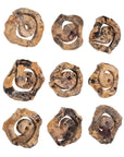 Corkscrew - Wood Wall Decor (Set of 9) - Light Brown