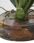 Dancing - Orchid In Glass Vase - Green,Orange