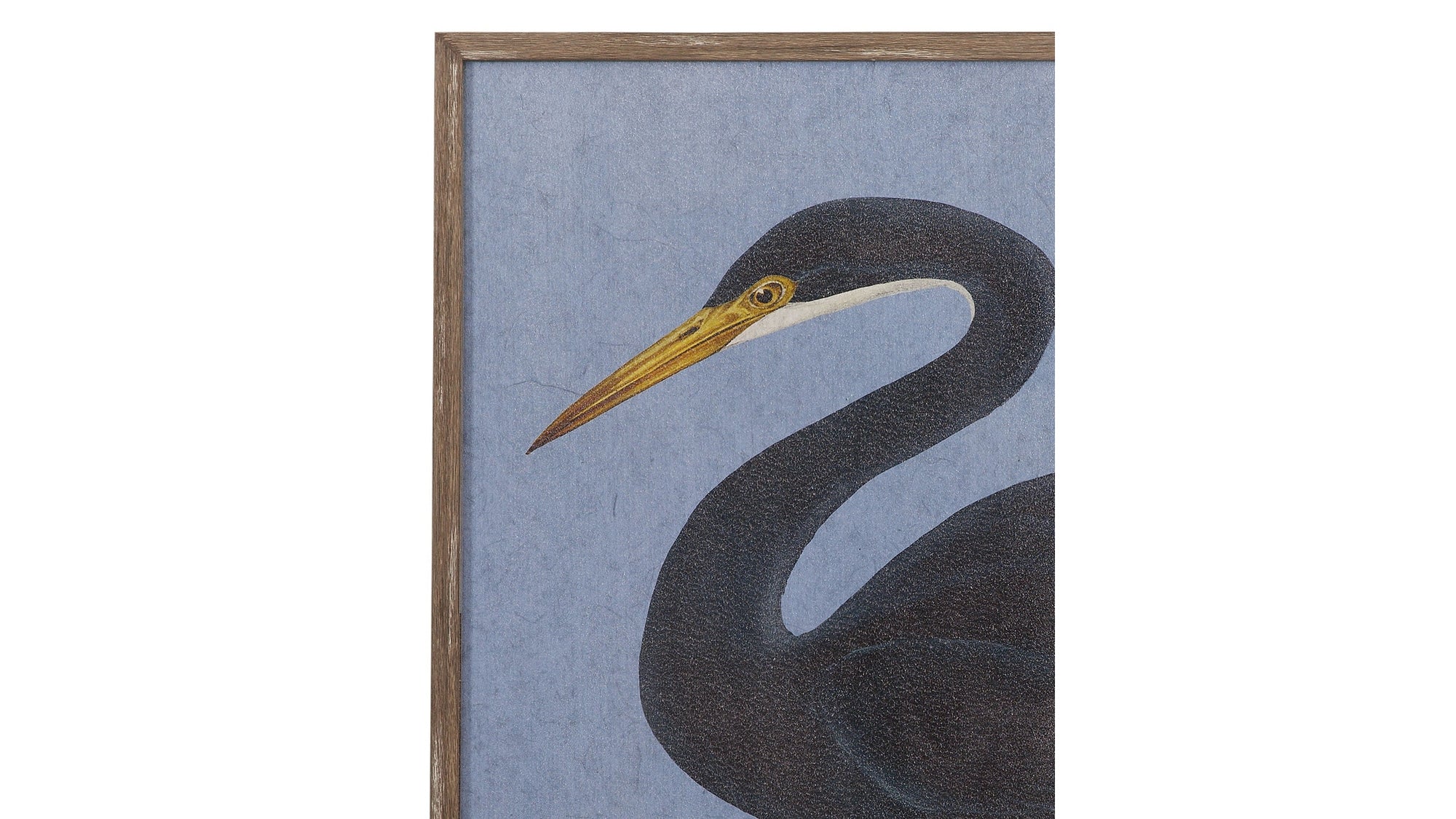 Bayou Heron II Framed Print - Blue / Black