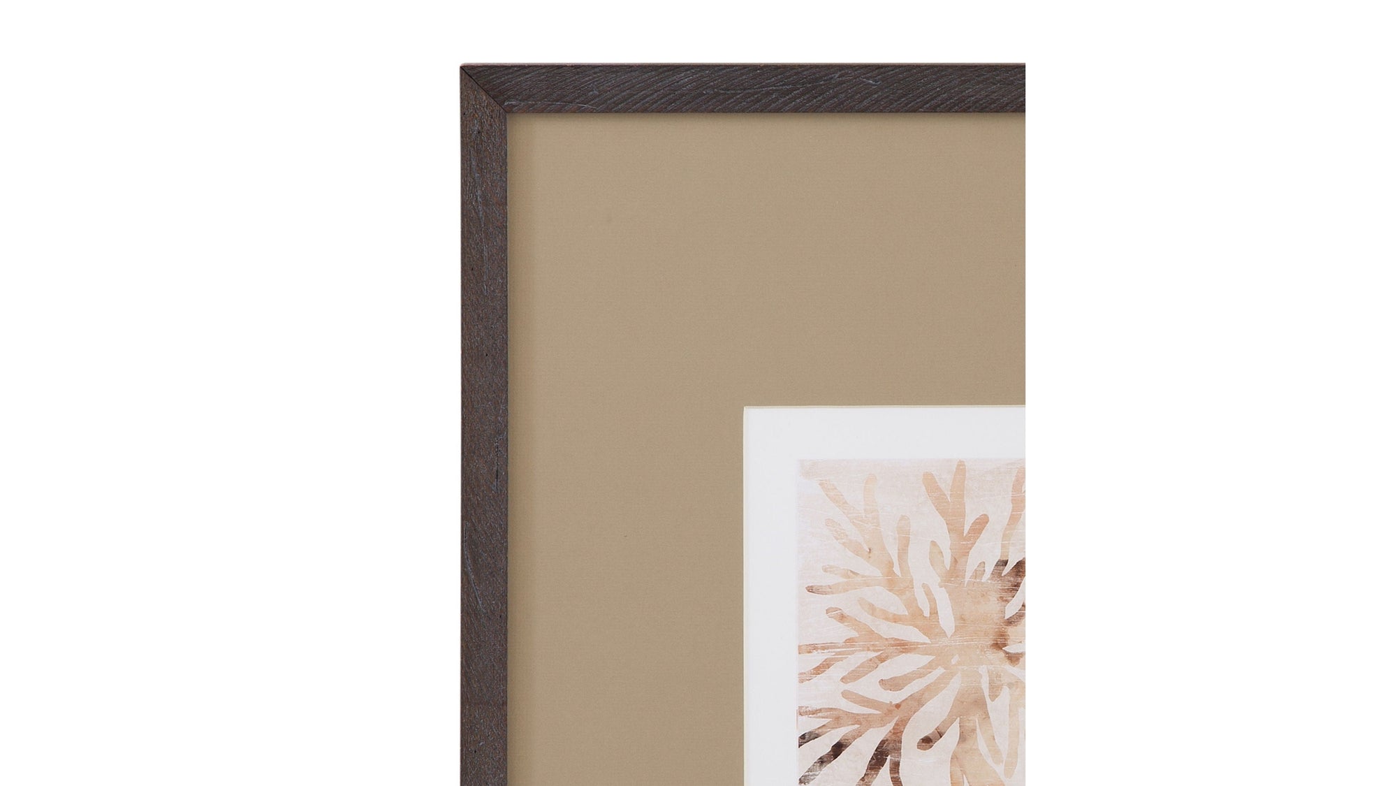 Parchment Coral II Framed Print - Brown