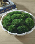 Awaken Moss - Centerpiece - Green / White