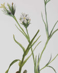 Botanical Flowers - Framed Prints (Set of 9)