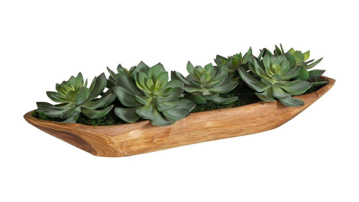 Yuma - Succulent Centerpiece - Dark Brown
