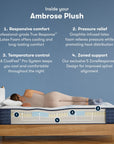 iComfortPro - 13" Ambrose Latex Foam Plush Mattress