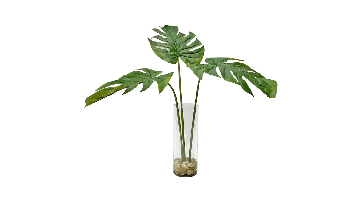 Ibero - Split Leaf Palm - Green