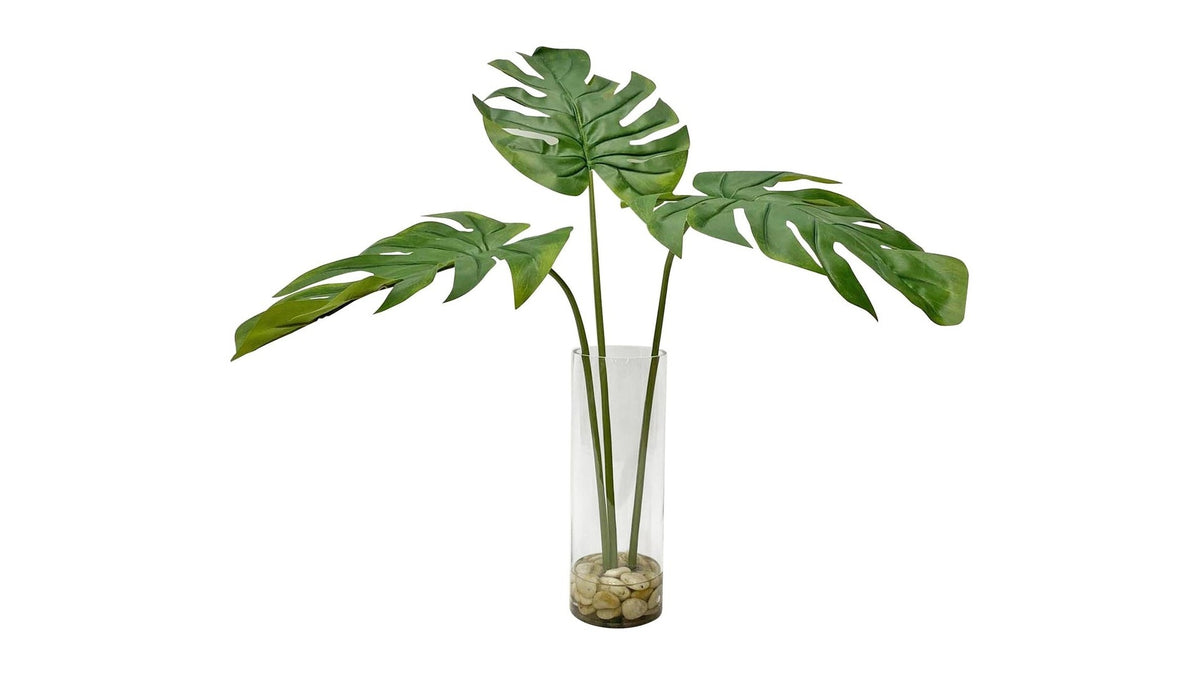 Ibero - Split Leaf Palm - Green