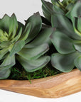 Yuma - Succulent Centerpiece - Dark Brown