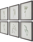 Forest - Finds Framed Prints (Set of 6)