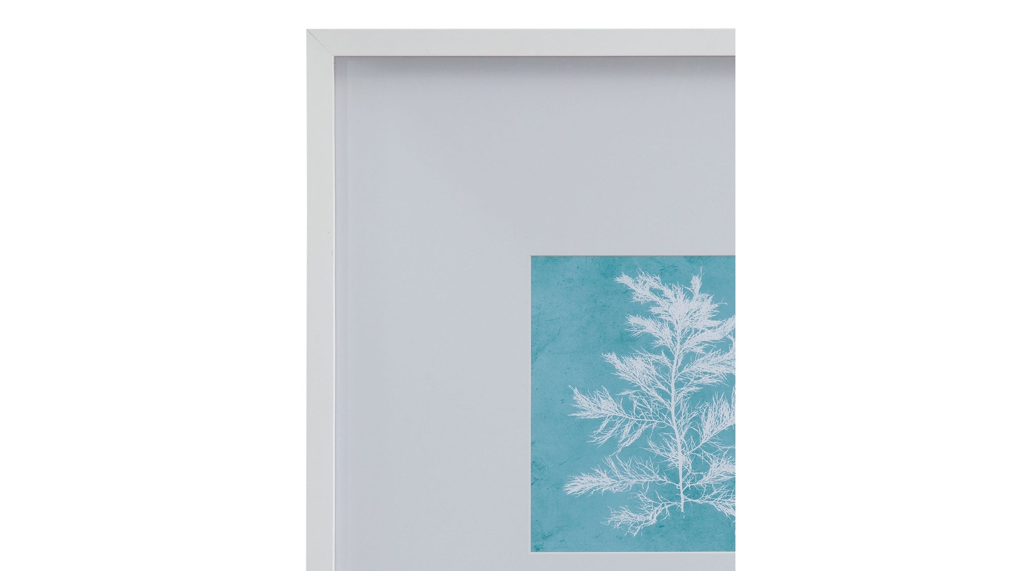 White Coral On Blue IV Framed Print - Blue / White