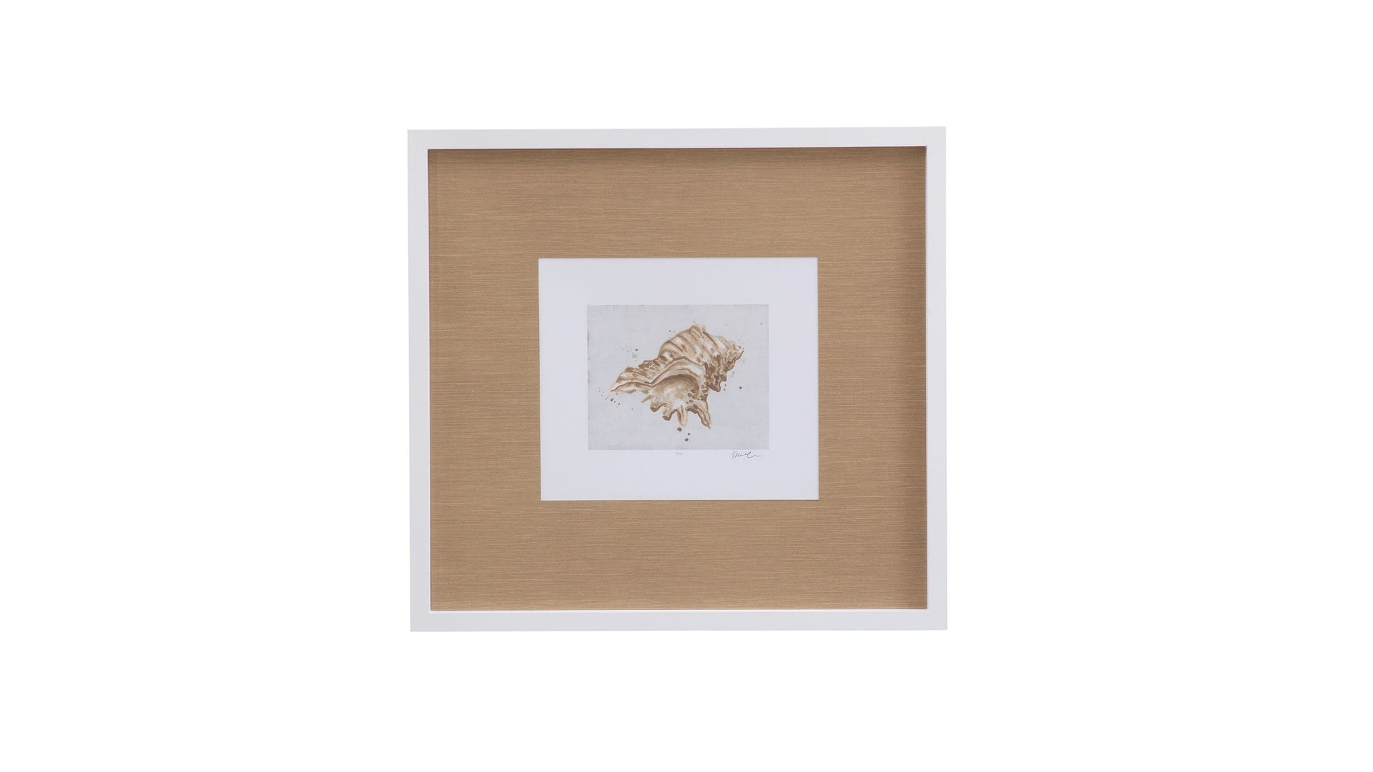Neutral Shell Fresco III Framed Print - Light Brown / White