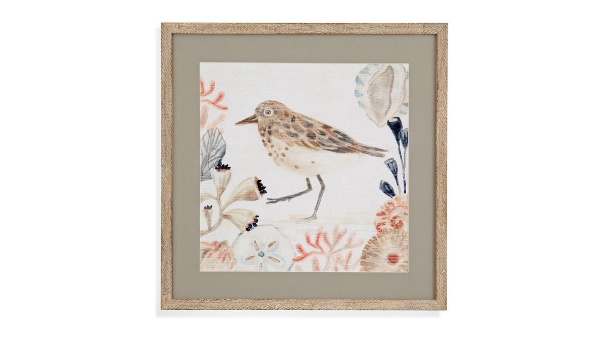 Shell Peppers II Framed Print - White