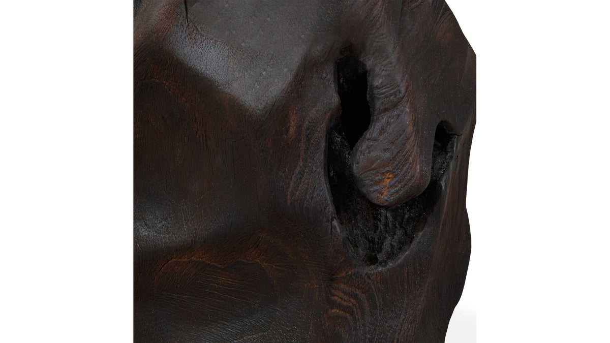 Ember Root - Teak Sculpture (Set of 2) - Black
