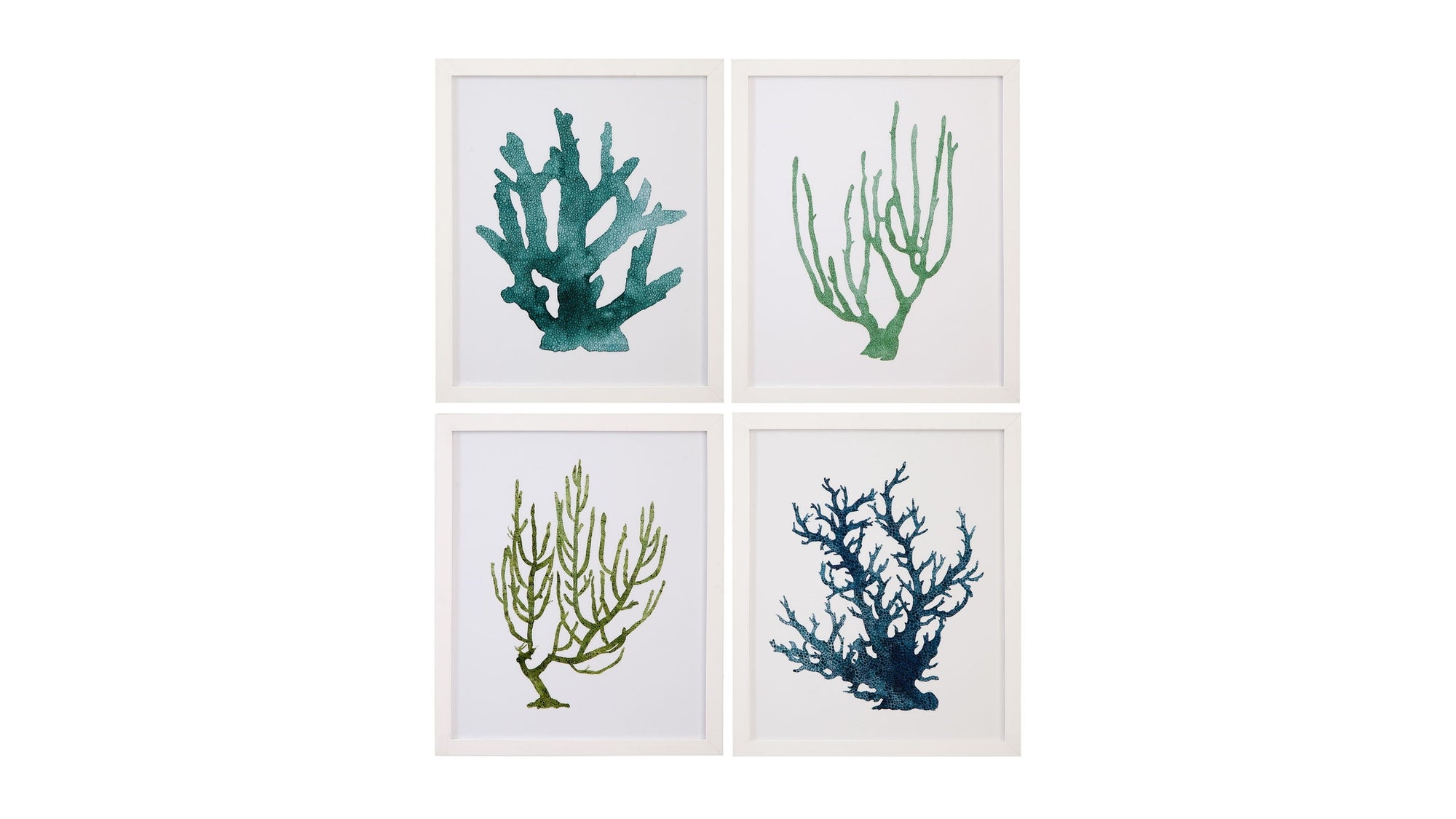 Coral Souvenirs II Framed Print - Green
